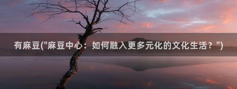 91麻豆国产专区在线观看：有麻豆(\