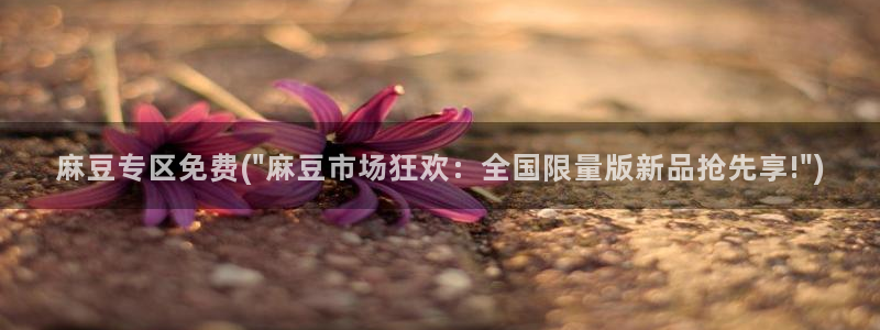 一级专区麻豆专区三级