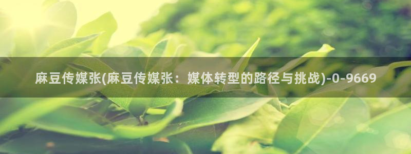 麻豆麻豆：麻豆传媒张(麻豆传媒张：媒体转型的路径与挑战)