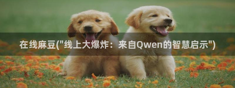 麻豆专区一区二区三区：在线麻豆(\