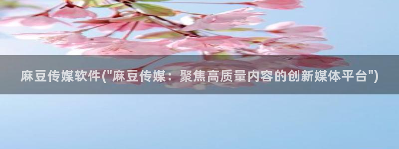 麻豆观看：麻豆传媒软件(\