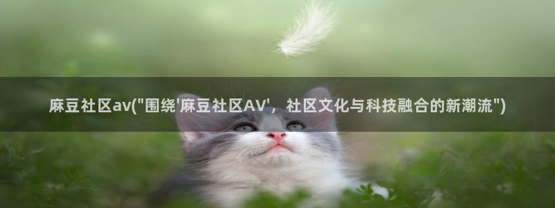 麻豆高清：麻豆社区av(\