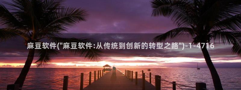 麻豆最新：麻豆软件(\