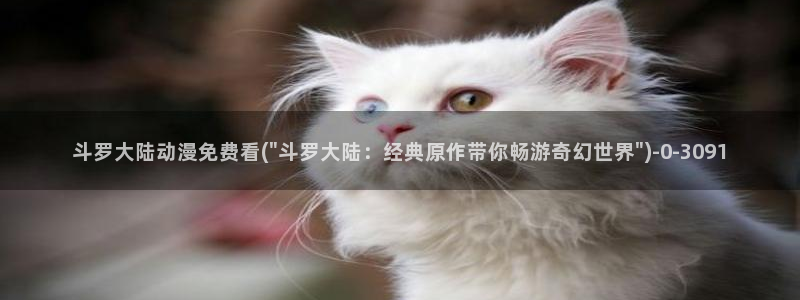 经典动漫