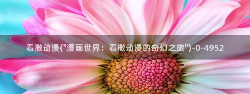 伦理动漫