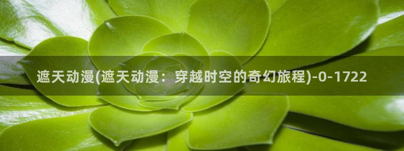 吞噬星空动漫