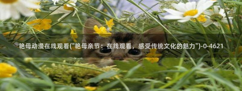 虫虫动漫